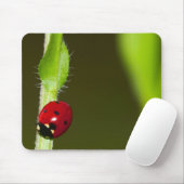 Tapis De Souris Mousepad de Ladybeetle (Avec souris)