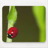 Tapis De Souris Mousepad de Ladybeetle (Devant)