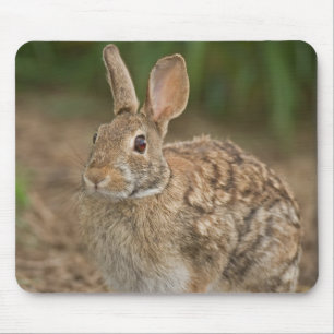 Tapis De Souris Mousepad de lapin
