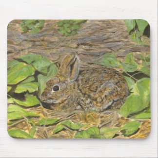 Tapis De Souris Mousepad de lapin
