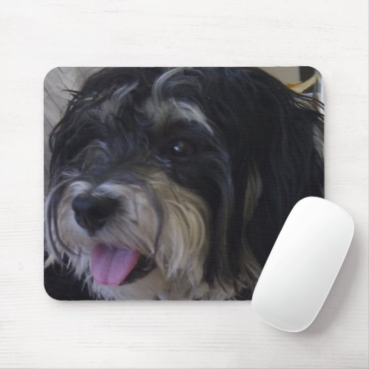 Tapis De Souris mousepad de maltipoo (Avec souris)