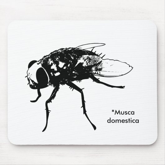 Tapis De Souris Mousepad de mouche domestique (Devant)
