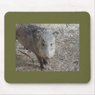 Tapis De Souris Mousepad de P1010073 Javelina