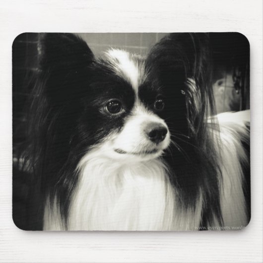 Tapis De Souris mousepad de papillon (Devant)