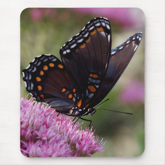 Tapis De Souris Mousepad de papillon (Devant)