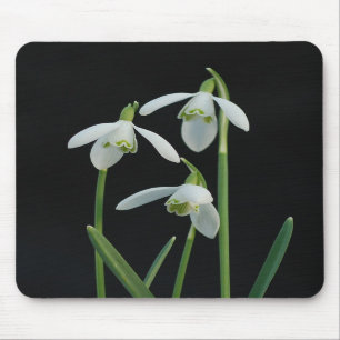Tapis De Souris Mousepad de perce-neiges