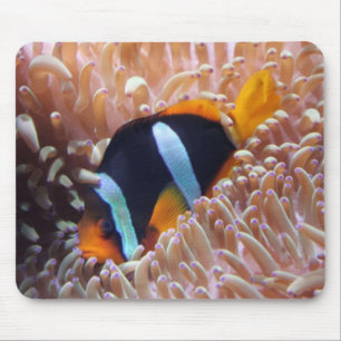 Tapis De Souris Mousepad de poisson clown