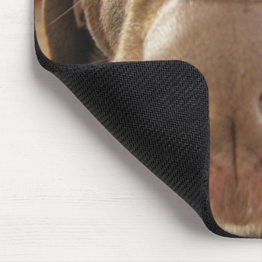 Tapis De Souris Mousepad de POP (Coin)