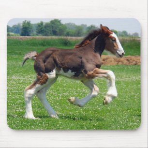 Tapis De Souris Mousepad de pouliche de Clydesdale