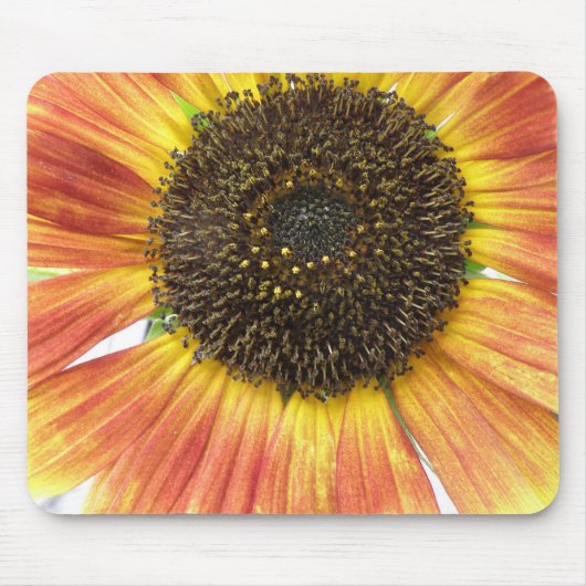 Tapis De Souris Mousepad de tournesol orange (Devant)