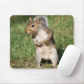 Tapis De Souris Mousepad d'écureuil de gris oriental (Avec souris)