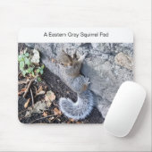 Tapis De Souris Mousepad d'écureuil gris-oriental (Avec souris)
