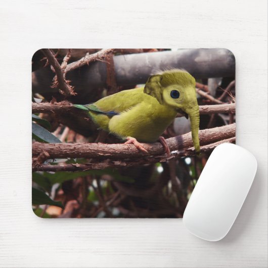 Tapis De Souris Mousepad d'Elebird (Avec souris)