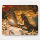 Tapis De Souris Mousepad d'hippocampe (Devant)