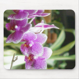 Tapis De Souris mousepad d'orchidée