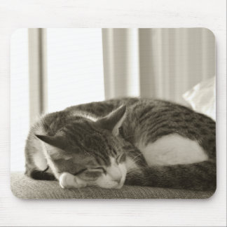 Tapis De Souris mousepad d'oscar