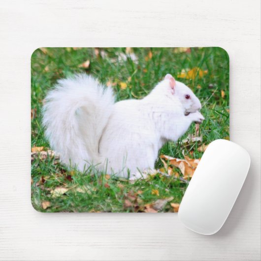 Tapis De Souris Mousepad - écureuil blanc (Avec souris)