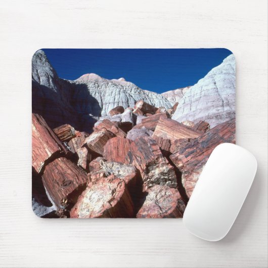 Tapis De Souris Mousepad en bois pétrifié (Avec souris)
