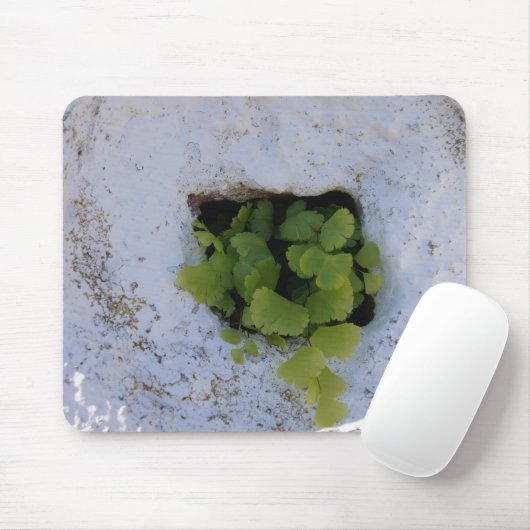 Tapis De Souris Mousepad exclusif - mur 044 (Avec souris)