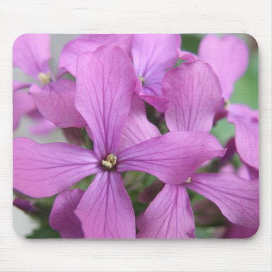 Tapis De Souris Mousepad Fleur sauvage violet (Devant)