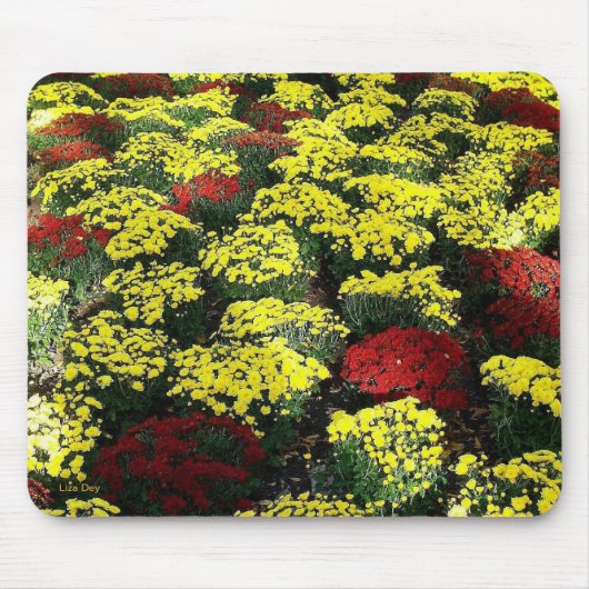 Tapis De Souris Mousepad 'Fleurs d'Automne' (Devant)