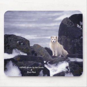 Tapis De Souris Mousepad/Fox arctique