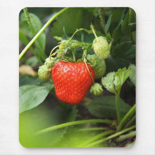 Tapis De Souris Mousepad-Fraise (Devant)