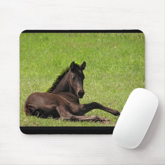 Tapis De Souris Mousepad frison de poulain (Avec souris)