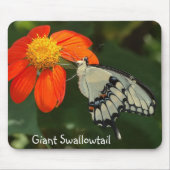 Tapis De Souris Mousepad géant de machaon (Devant)