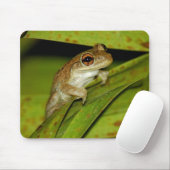 Tapis De Souris Mousepad, grenouille souriante (Avec souris)