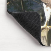 Tapis De Souris Mousepad Hawk (Coin)