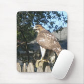 Tapis De Souris Mousepad Hawk (Avec souris)