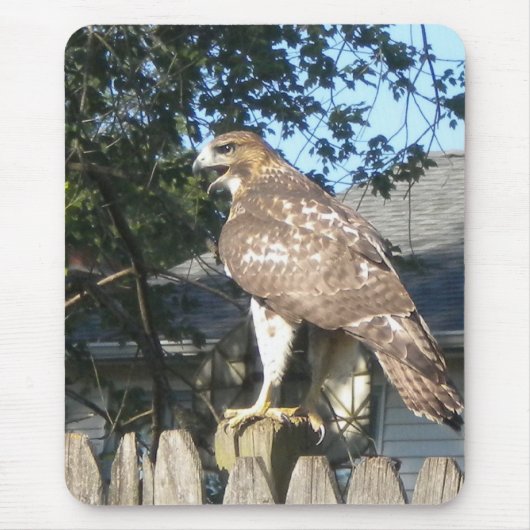 Tapis De Souris Mousepad Hawk (Devant)