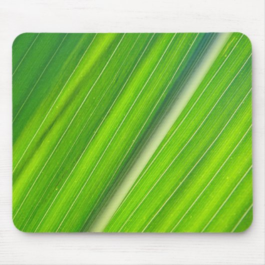 Tapis De Souris Mousepad hellgrünes Maisblattdesign (Devant)