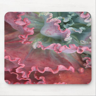 Tapis De Souris Mousepad hérissé d'echeveria