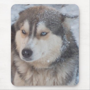 Tapis De Souris Mousepad Husky Blue Eyes