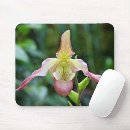 Tapis De Souris Mousepad - Ladyslipper (Avec souris)
