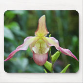 Tapis De Souris Mousepad - Ladyslipper (Devant)