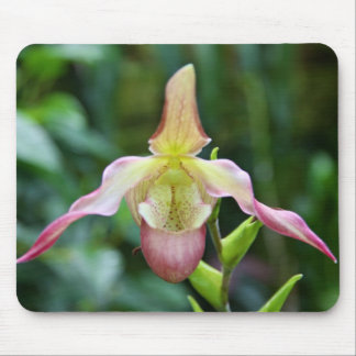 Tapis De Souris Mousepad - Ladyslipper