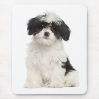 Tapis De Souris Mousepad, le chien coquelicot amoureux du Havanais