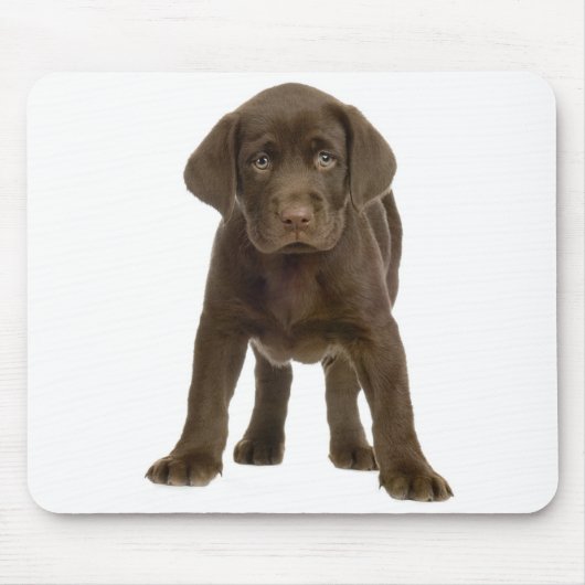 Tapis De Souris Mousepad, le chien coquelicot du Labrador rétrific (Devant)