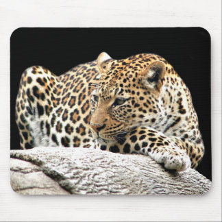 Tapis De Souris Mousepad léopard