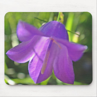 Tapis De Souris Mousepad lila Glockenblume