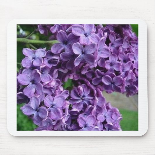 Tapis De Souris mousepad lilas pourpre (Devant)