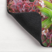 Tapis De Souris Mousepad mélangé de succulents (Coin)