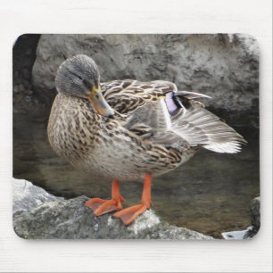 Tapis De Souris Mousepad mignon canard brun entre roches grises
