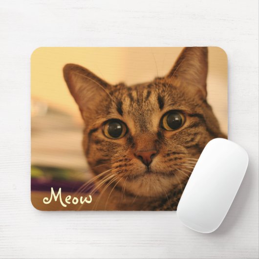 Tapis De Souris Mousepad mignon de visage de chat tigré (Avec souris)