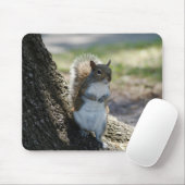 Tapis De Souris Mousepad mignon et timide d'écureuil (Avec souris)