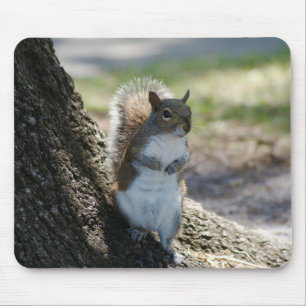 Tapis De Souris Mousepad mignon et timide d'écureuil