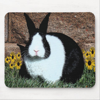Tapis De Souris Mousepad numérique d'illustration de lapin